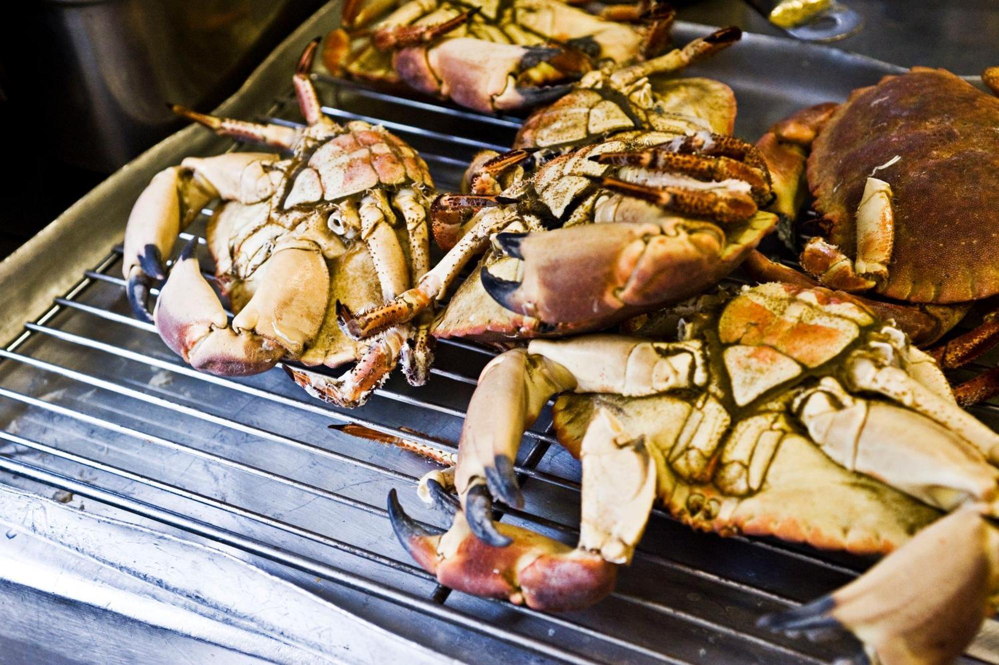 One Devonshire Gardens A Hotel Du Vin Γλασκώβη Εξωτερικό φωτογραφία Mud crab